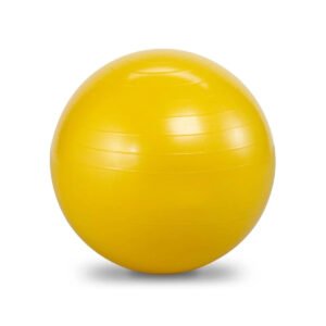 Pro Series Stability Ball, 45 cm, Yellow, 1 Pack