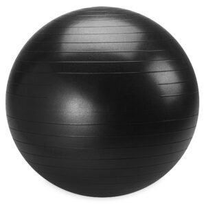 75cm Large Weighted Stability Ball, Pump Included